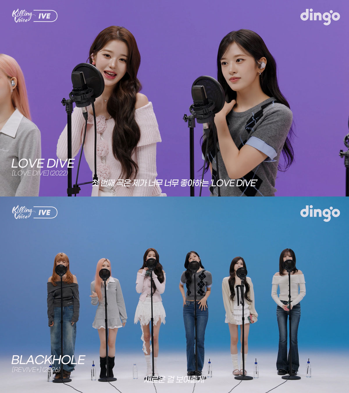 사진=딩고