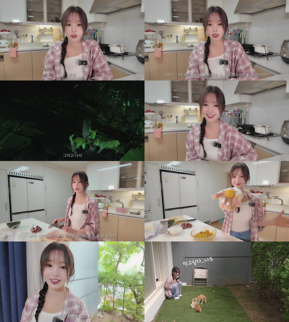남규리 집 마당에 늘어난 식구, 씨야 연습 전 챙긴 길냥이 가족